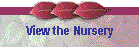view the nursery