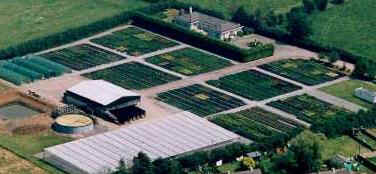 Arial view of the nursery