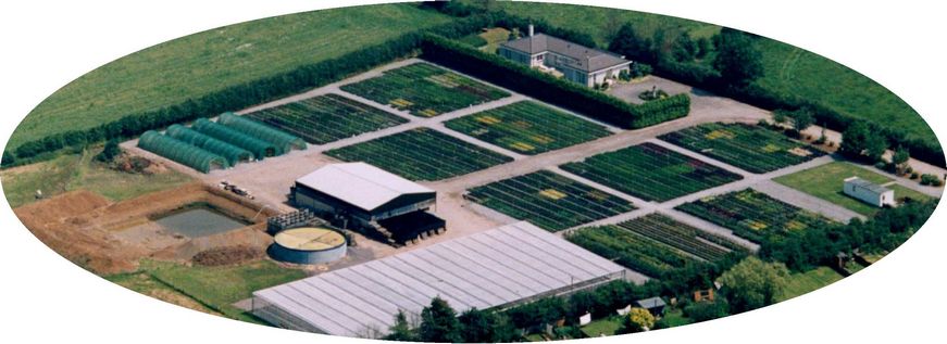 Poulshot Nurseries.Wiltshire Wholesale Nursery-Wide Range Of Hardy Nursery Stock