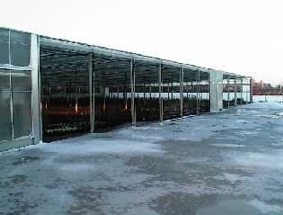 The greenhouse during winter time